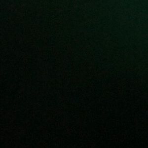 Meet your Posher, Jocelyn